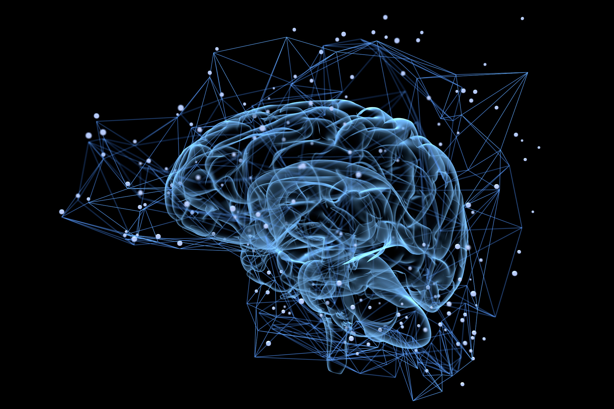 Brain activity Brain activity