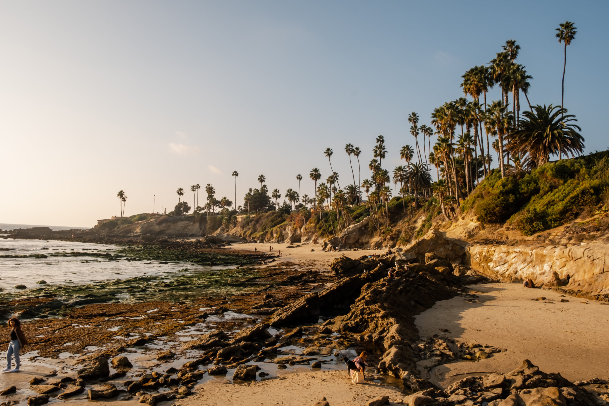 Orange County